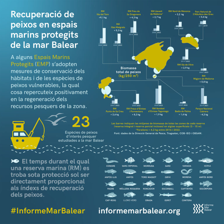 Indicador de biomassa de peixos 2024