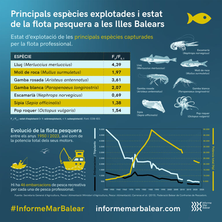 Principals espècies explotades