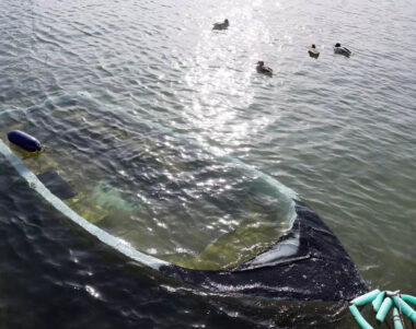 Contaminació marina