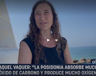 Una hectárea de posidonia produce más oxígeno que una hectárea de bosque tropical