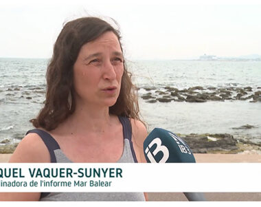 Coordinadora Informe Mar Balear