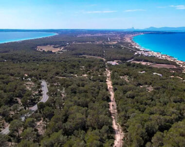 El 47% de las plazas turísticas que hay en Formentera son viviendas