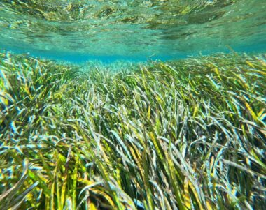 Más presión humana, más contaminación fecal