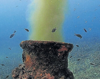 Qualitat de l'aigua - Mallorca Bulletin